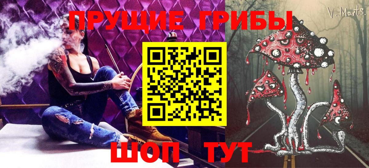 Галлюциногенные грибы Psilocybe  Галлюциногенные грибы прущие грибы  Белгород  Вход с VPN 